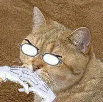 A cat in glasses thinking very hard.