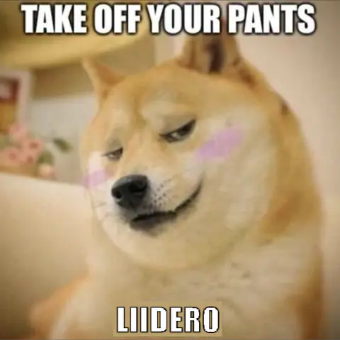 A blushing doge meme with Impact text ‘TAKE OFF YOUR PANTS’ and ‘LIIDERO’.